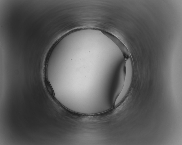 X0000088421093200706191211