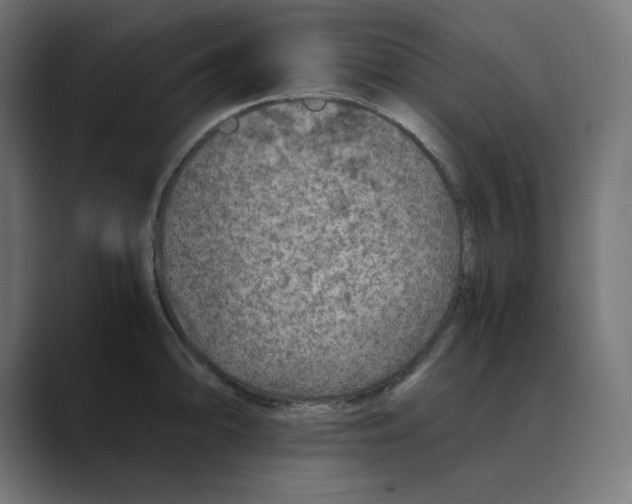 X0000088421094200706191211