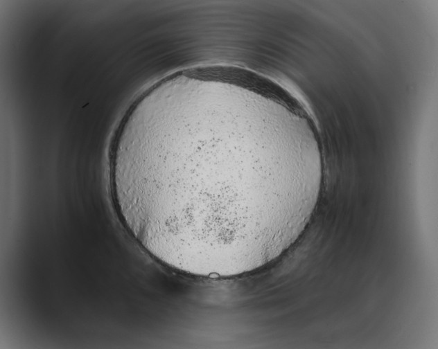 X0000088421096200706191211