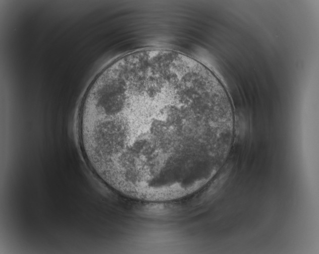 X0000088421098200706191211