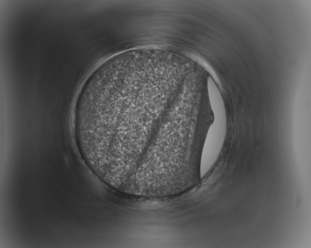 X0000088421099200706191211