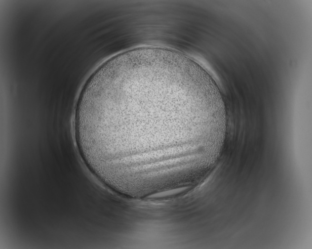 X0000088421100200706191211