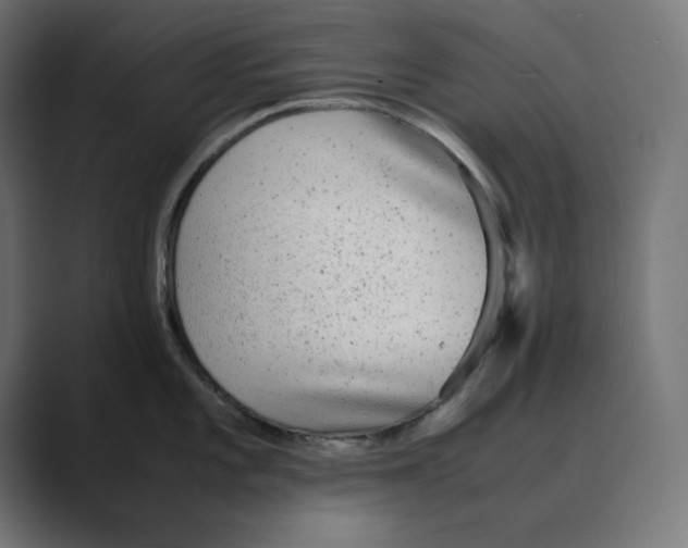 X0000088421101200706191211