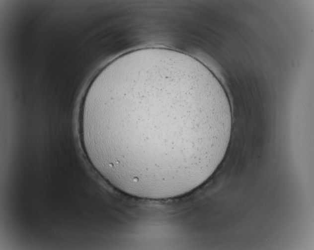 X0000088421104200706191211