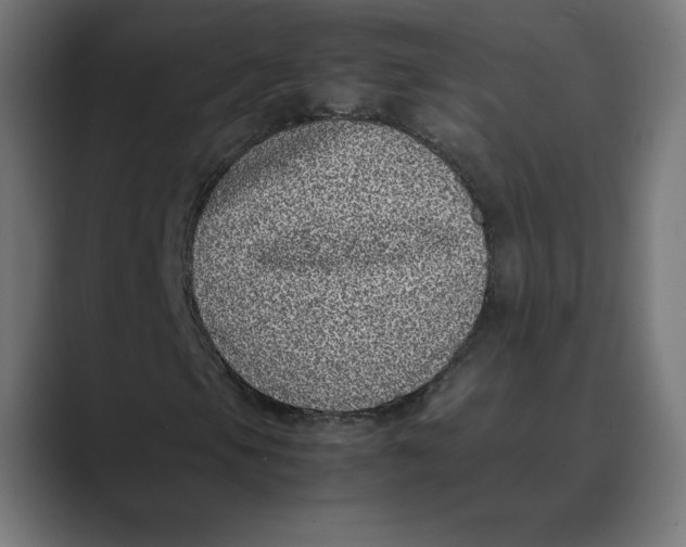X0000088421105200706191211