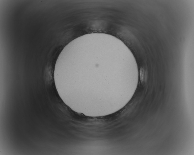 X0000088421107200706191211