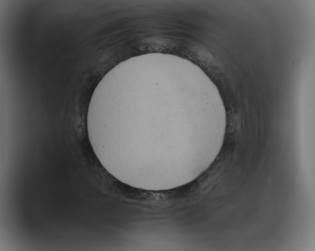 X0000088421109200706191211