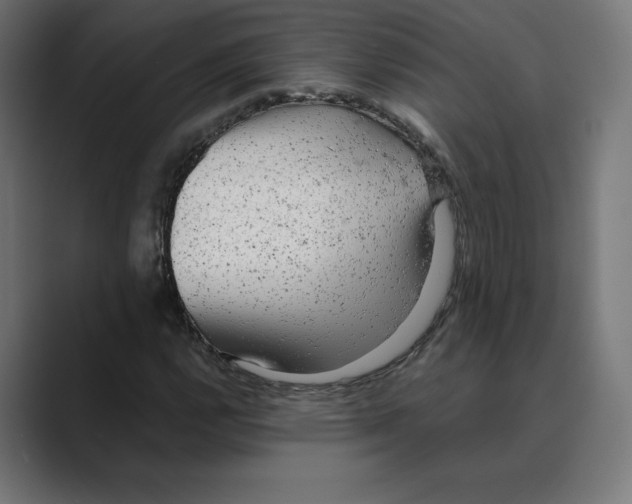X0000088421112200706191211