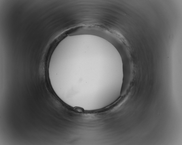 X0000088421114200706191211