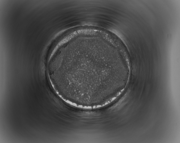 X0000088421115200706191211