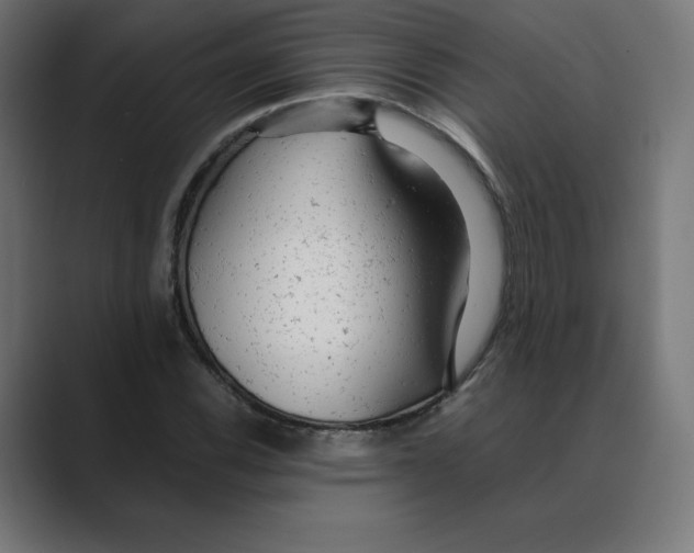 X0000088421116200706191211