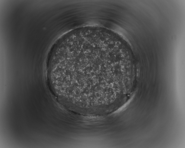 X0000088421117200706191211