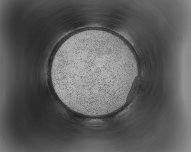 X0000088421119200706191211