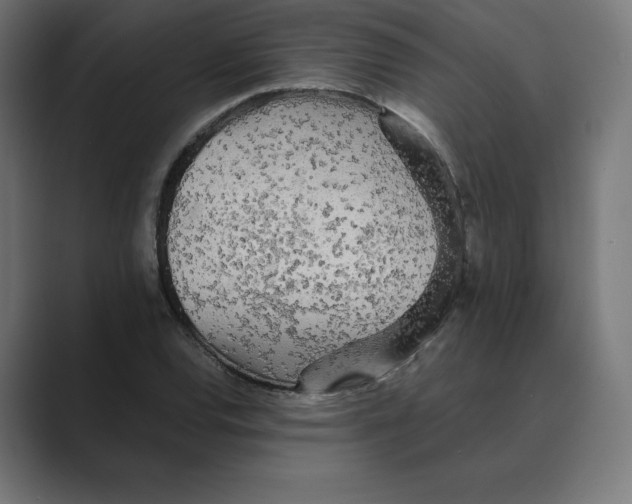 X0000088421120200706191211