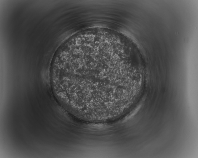 X0000088421121200706191211