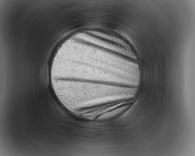 X0000088421123200706191211