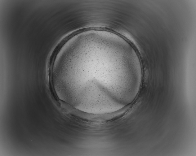 X0000088421124200706191211