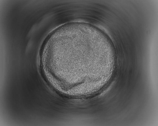 X0000088421125200706191211