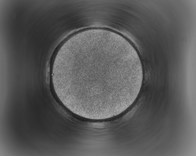 X0000088421126200706191211