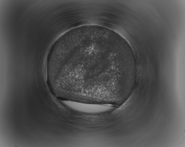 X0000088421127200706191211