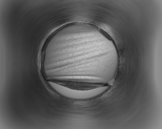 X0000088421128200706191211