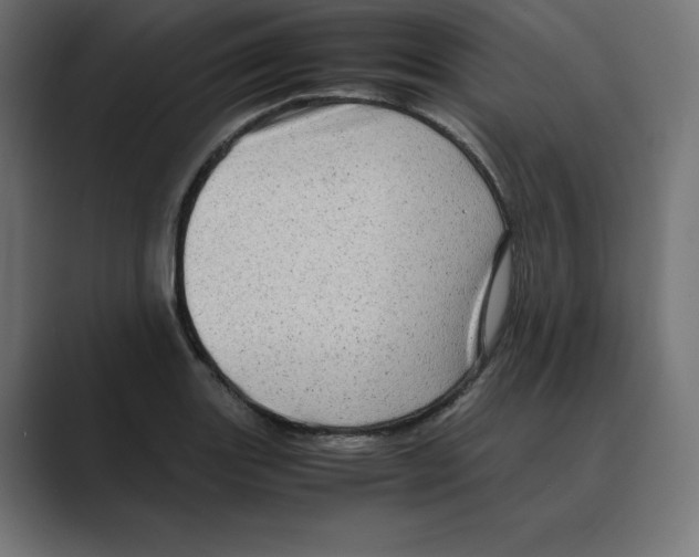X0000088421131200706191211