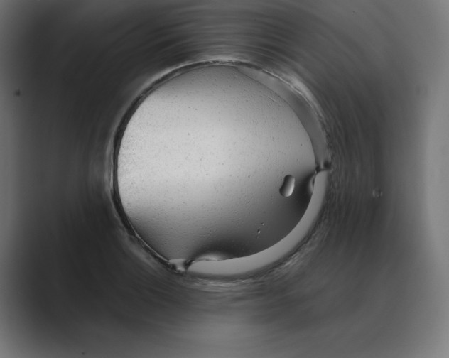 X0000088421132200706191211
