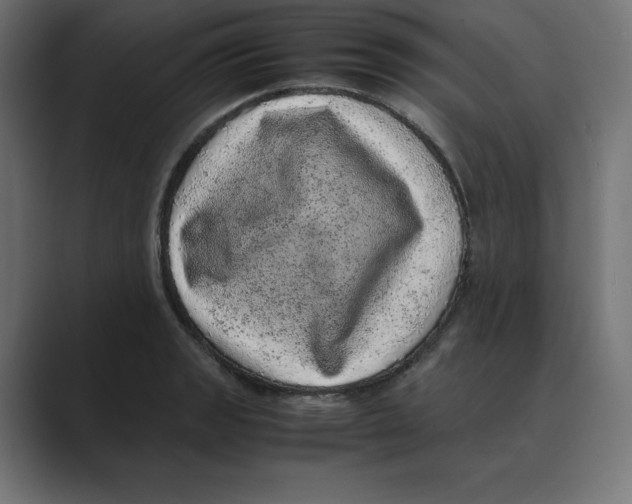 X0000088421133200706191211
