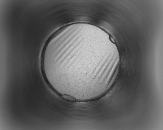X0000088421135200706191211