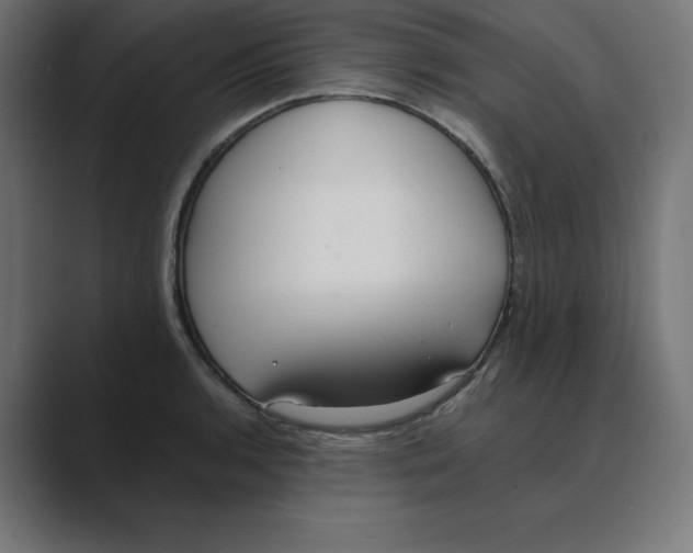 X0000088421136200706191211