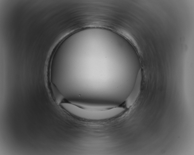 X0000088421138200706191211