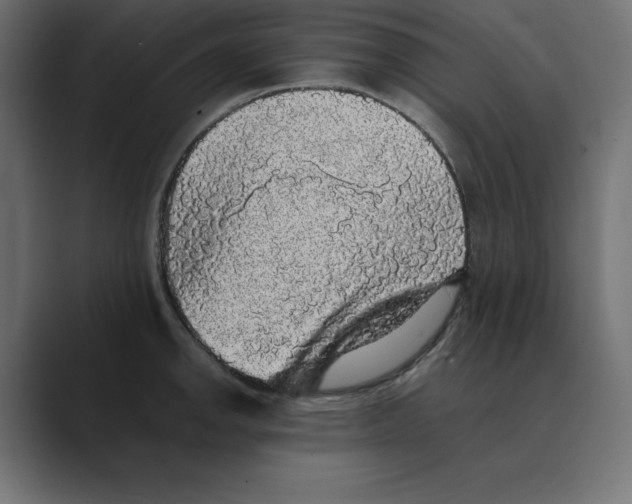 X0000088421142200706191211