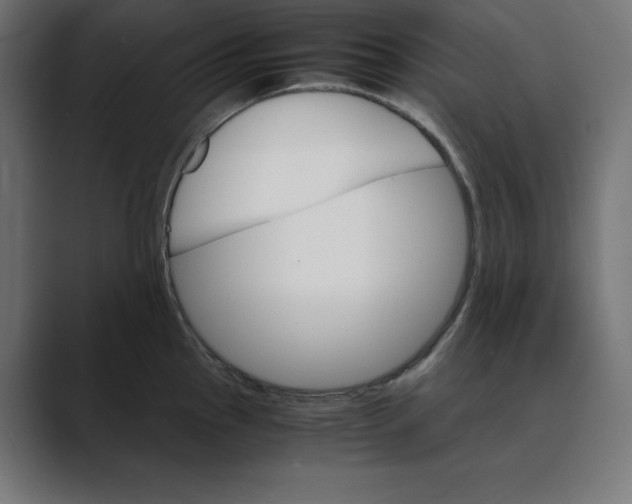 X0000088421145200706191211