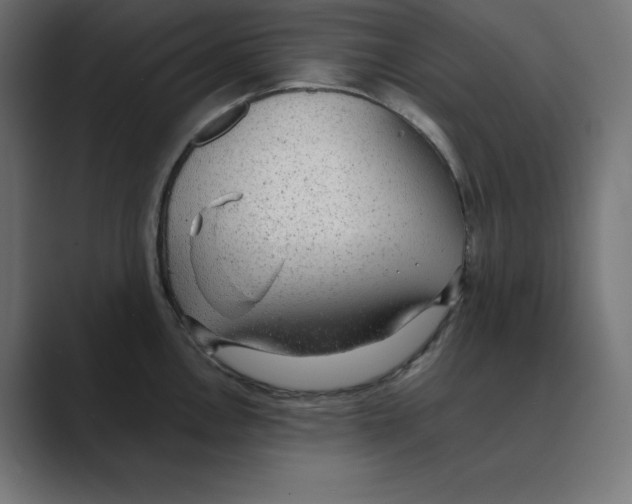X0000088421146200706191211