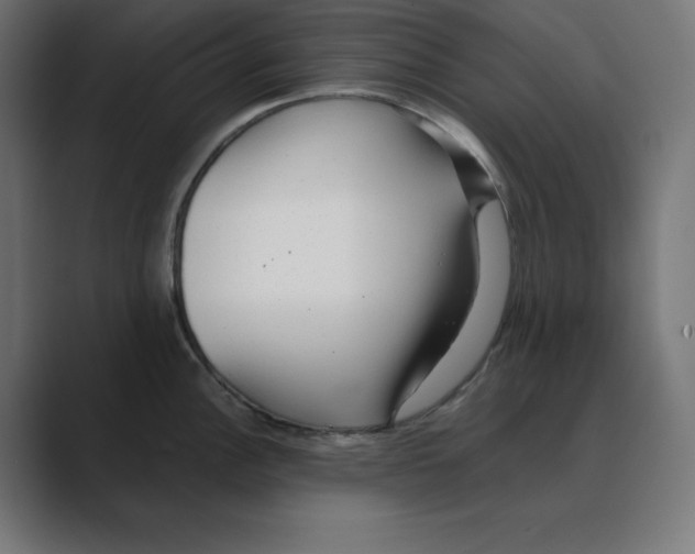 X0000088421148200706191211