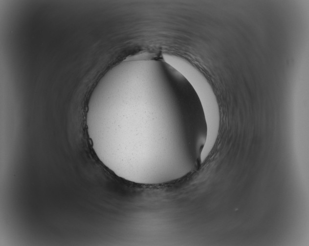 X0000088421153200706191211