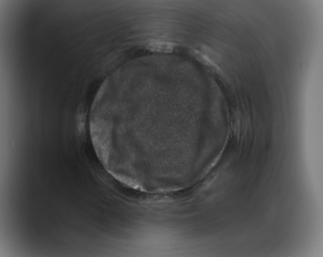X0000088421154200706191211