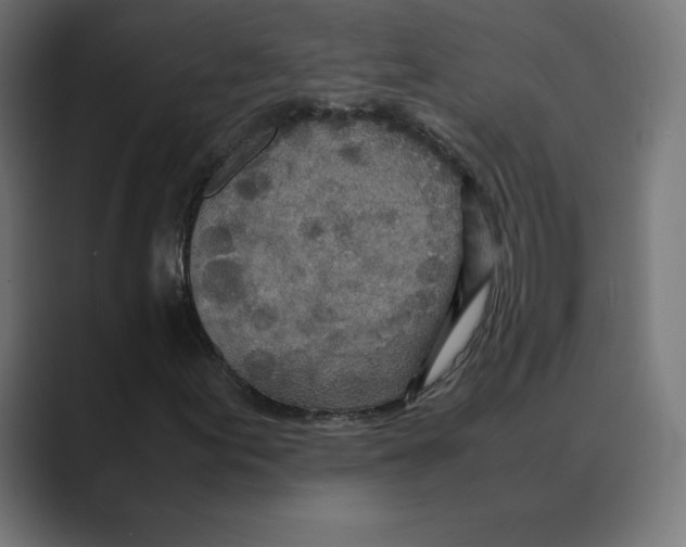 X0000088421155200706191211
