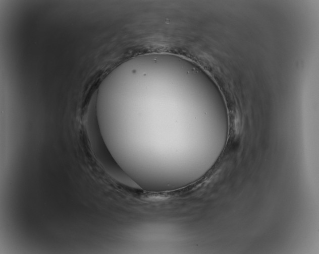 X0000088421157200706191211