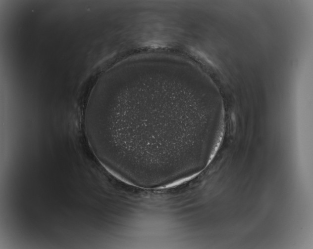 X0000088421158200706191211