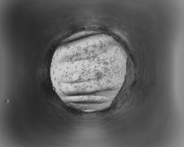 X0000088421159200706191211