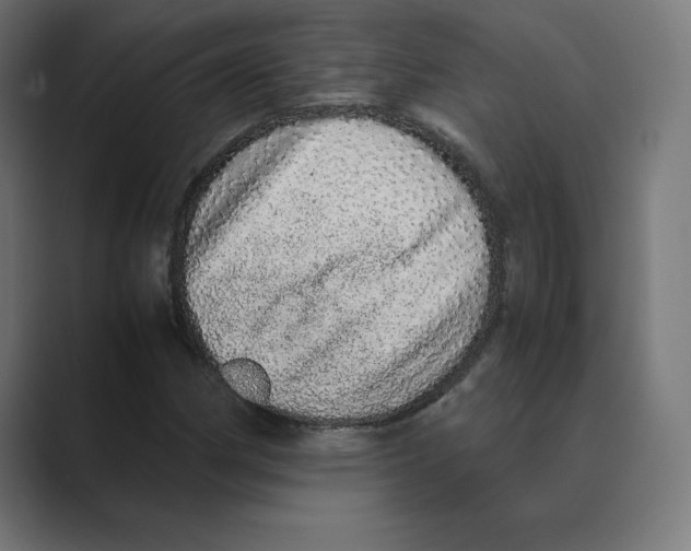 X0000088421162200706191211