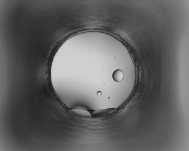 X0000088421164200706191211