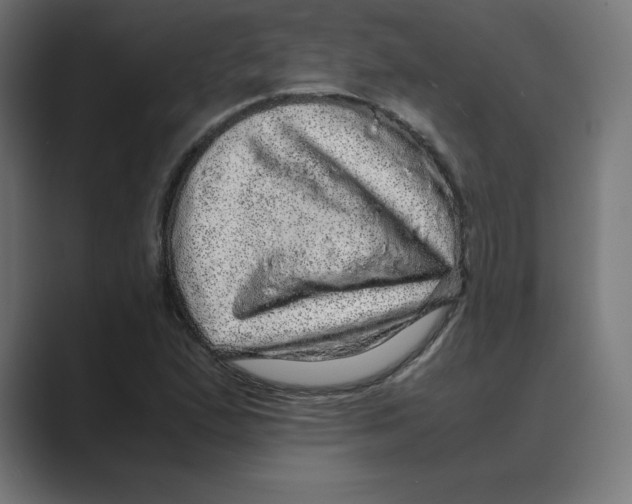 X0000088421167200706191211
