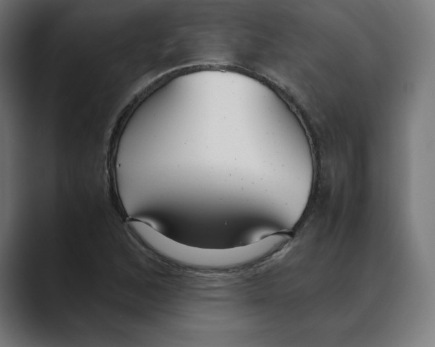 X0000088421168200706191210