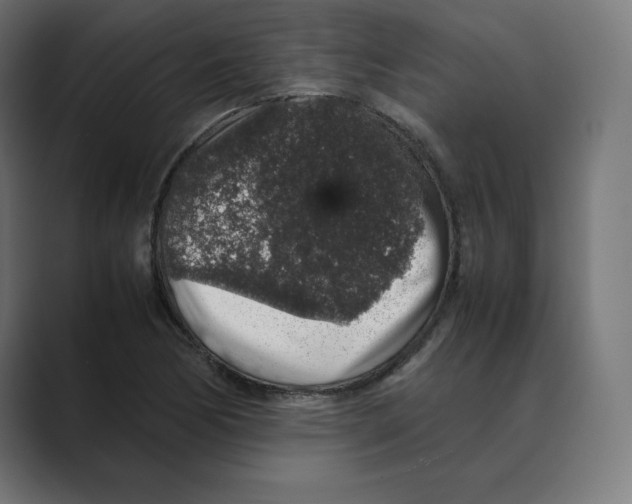 X0000088421170200706191210