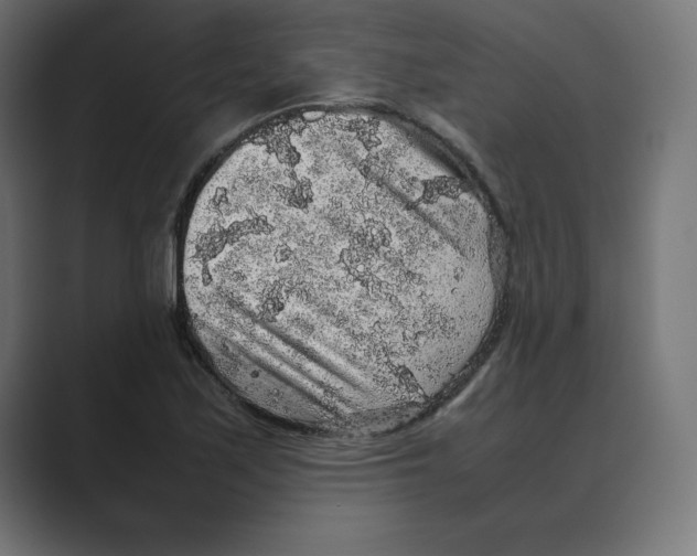 X0000088421171200706191210