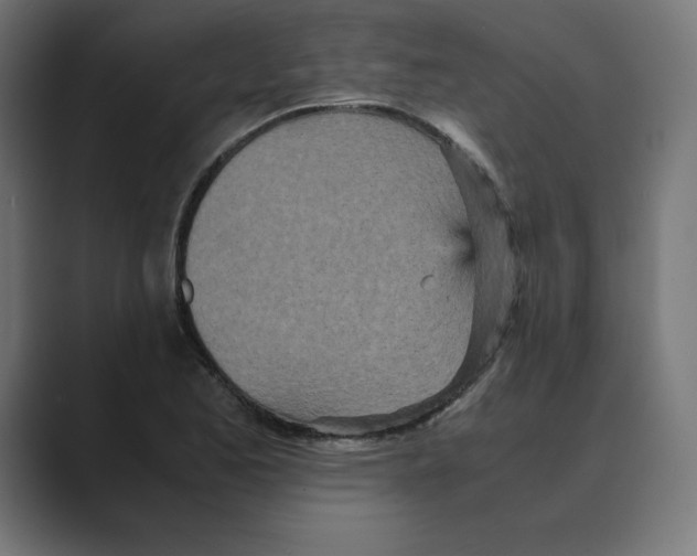 X0000088421173200706191210