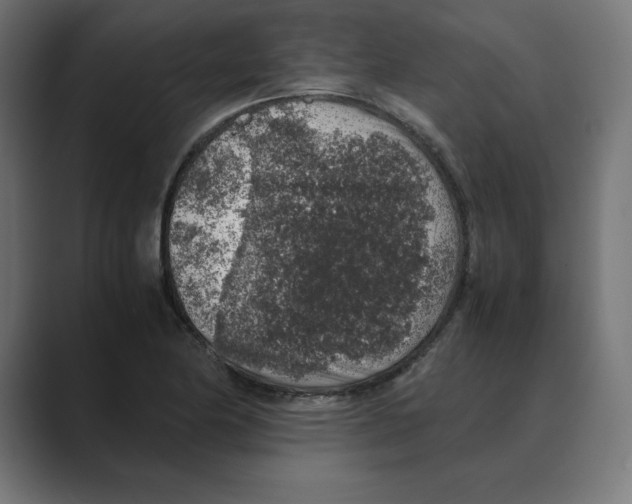 X0000088421174200706191210