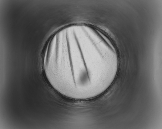 X0000088421175200706191210